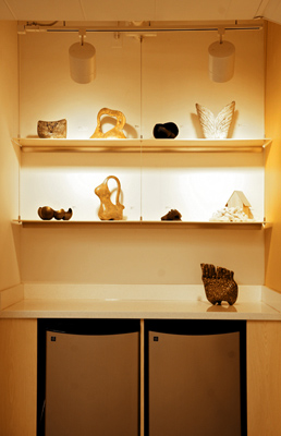 Engineered Quartz Countertop|Non-Porous Surface